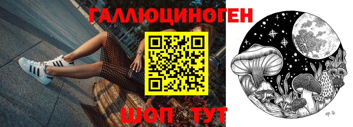 Галлюциногенные грибы Psilocybe Отрадный