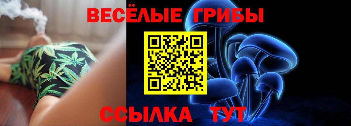 Псилоцибиновые грибы мицелий  Вход с VPN  продажа наркотиков  Отрадный 